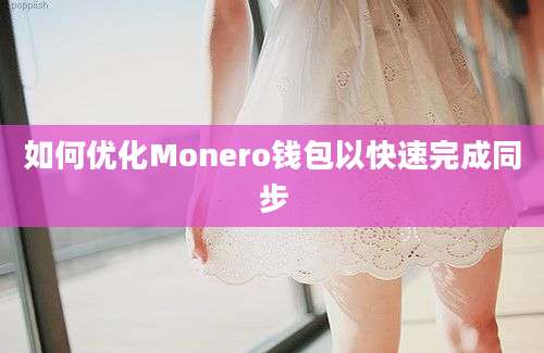 如何优化Monero钱包以快速完成同步