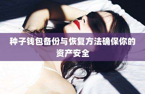 种子钱包备份与恢复方法确保你的资产安全