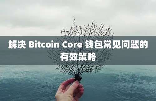 解决 Bitcoin Core 钱包常见问题的有效策略