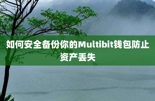 如何安全备份你的Multibit钱包防止资产丢失