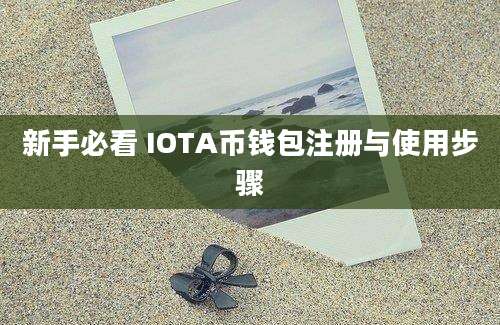 新手必看 IOTA币钱包注册与使用步骤