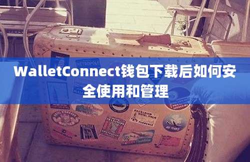 WalletConnect钱包下载后如何安全使用和管理