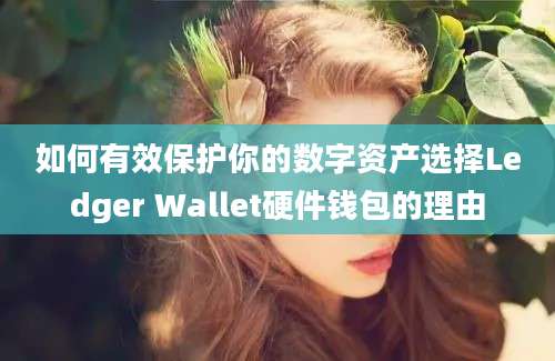 如何有效保护你的数字资产选择Ledger Wallet硬件钱包的理由