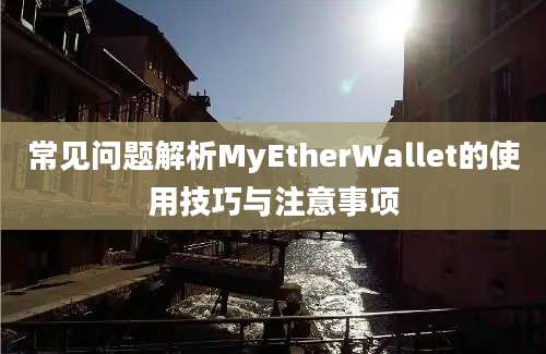 常见问题解析MyEtherWallet的使用技巧与注意事项