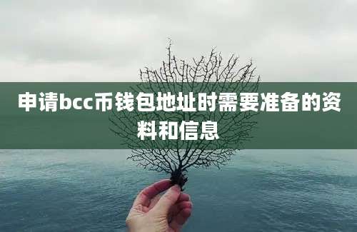 申请bcc币钱包地址时需要准备的资料和信息