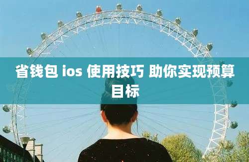 省钱包 ios 使用技巧 助你实现预算目标