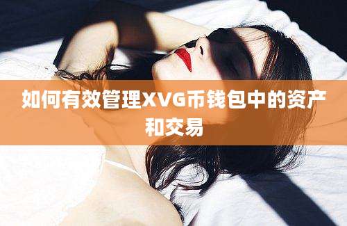 如何有效管理XVG币钱包中的资产和交易