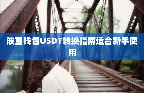 波宝钱包USDT转换指南适合新手使用