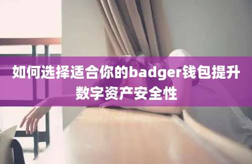 如何选择适合你的badger钱包提升数字资产安全性