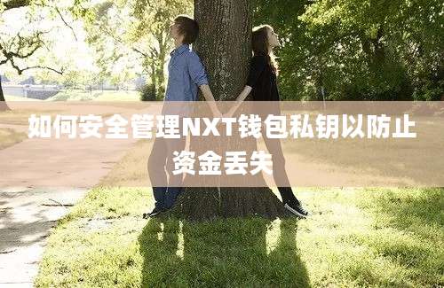 如何安全管理NXT钱包私钥以防止资金丢失