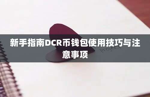 新手指南DCR币钱包使用技巧与注意事项