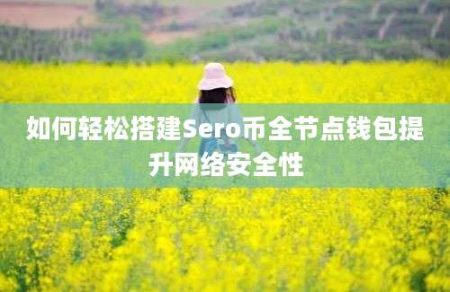 如何轻松搭建Sero币全节点钱包提升网络安全性