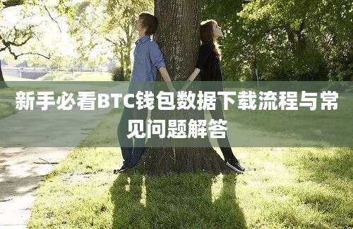 新手必看BTC钱包数据下载流程与常见问题解答