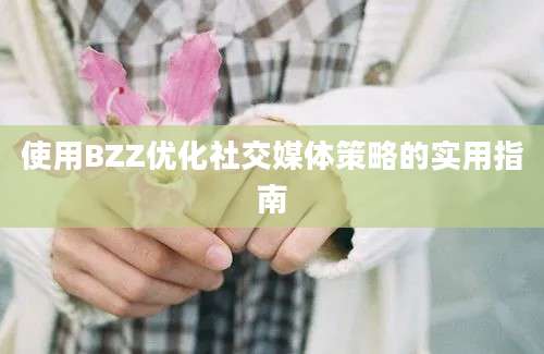 使用BZZ优化社交媒体策略的实用指南