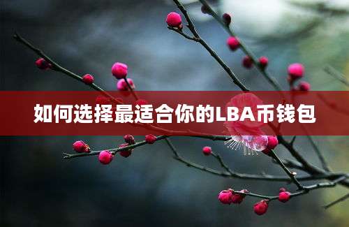 如何选择最适合你的LBA币钱包