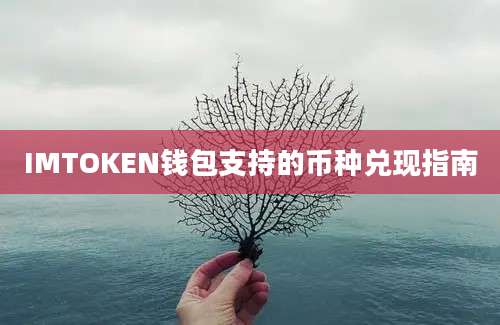 IMTOKEN钱包支持的币种兑现指南