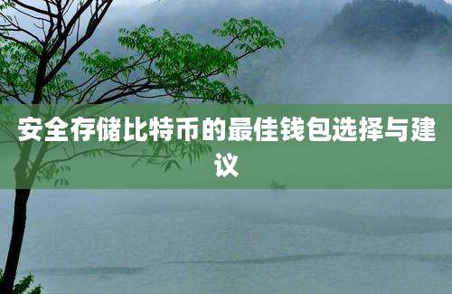 安全存储比特币的最佳钱包选择与建议