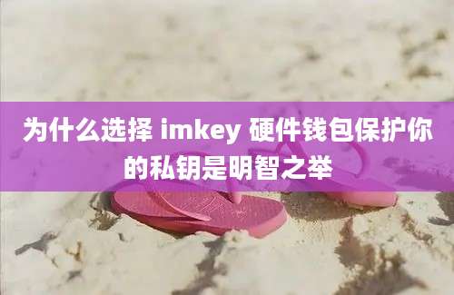 为什么选择 imkey 硬件钱包保护你的私钥是明智之举