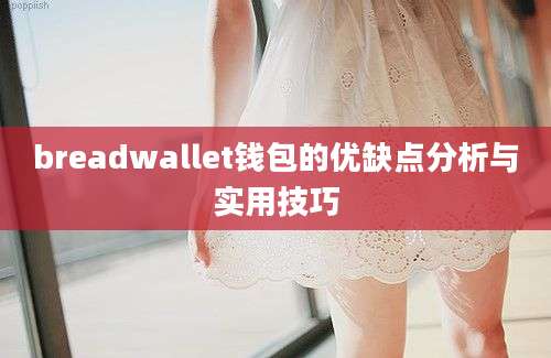 breadwallet钱包的优缺点分析与实用技巧