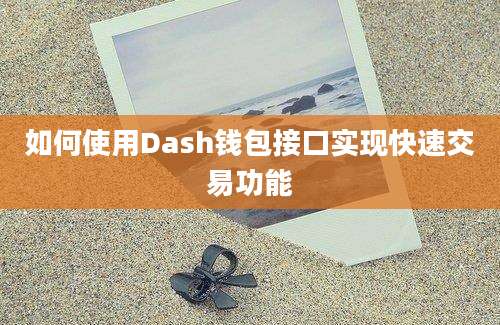 如何使用Dash钱包接口实现快速交易功能