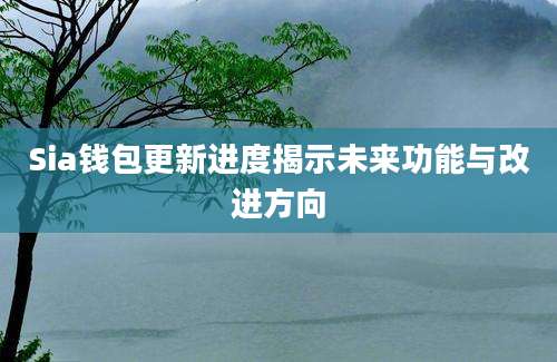 Sia钱包更新进度揭示未来功能与改进方向