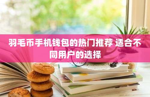 羽毛币手机钱包的热门推荐 适合不同用户的选择