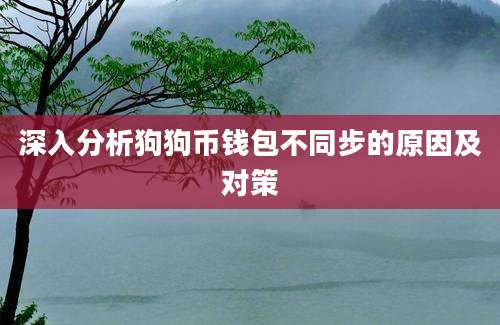 深入分析狗狗币钱包不同步的原因及对策