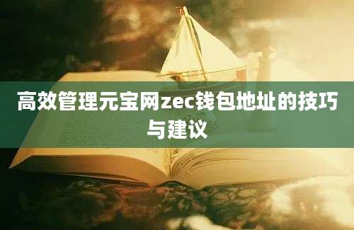 高效管理元宝网zec钱包地址的技巧与建议