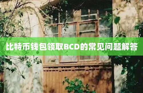 比特币钱包领取BCD的常见问题解答