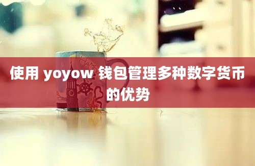 使用 yoyow 钱包管理多种数字货币的优势