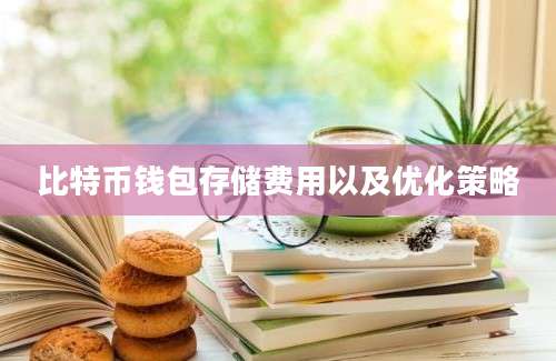 比特币钱包存储费用以及优化策略