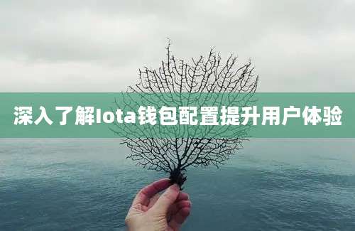 深入了解Iota钱包配置提升用户体验