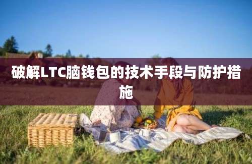 破解LTC脑钱包的技术手段与防护措施