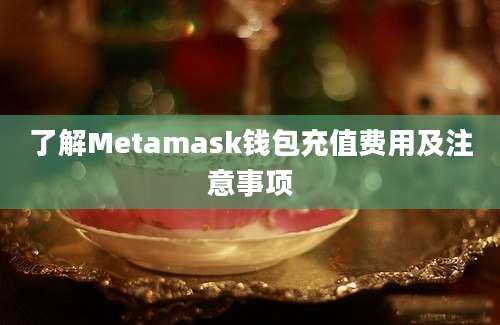 了解Metamask钱包充值费用及注意事项