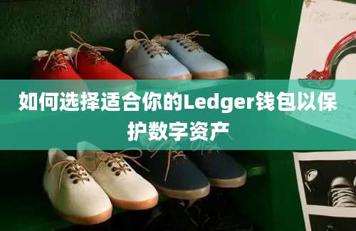 如何选择适合你的Ledger钱包以保护数字资产