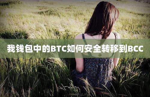 我钱包中的BTC如何安全转移到BCC