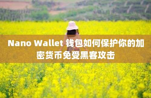 Nano Wallet 钱包如何保护你的加密货币免受黑客攻击