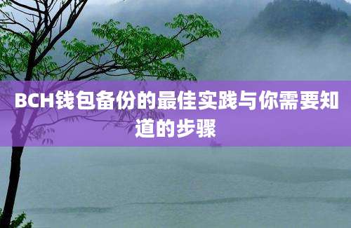 BCH钱包备份的最佳实践与你需要知道的步骤