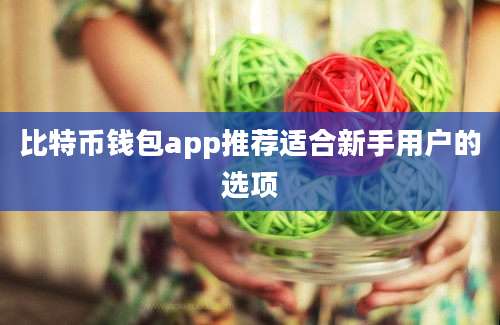 比特币钱包app推荐适合新手用户的选项