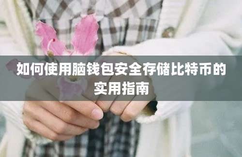 如何使用脑钱包安全存储比特币的实用指南