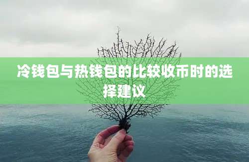 冷钱包与热钱包的比较收币时的选择建议