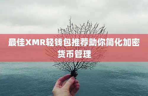 最佳XMR轻钱包推荐助你简化加密货币管理