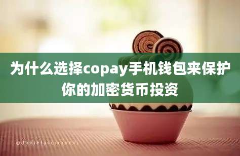 为什么选择copay手机钱包来保护你的加密货币投资