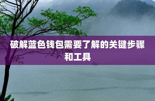 破解蓝色钱包需要了解的关键步骤和工具