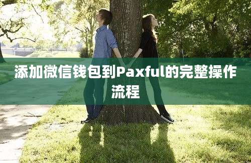 添加微信钱包到Paxful的完整操作流程