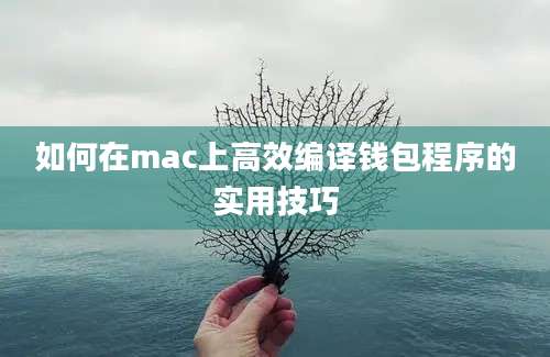 如何在mac上高效编译钱包程序的实用技巧