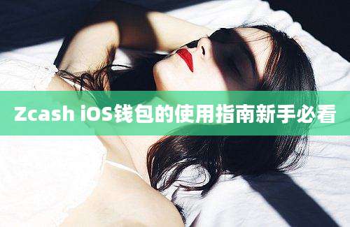 Zcash iOS钱包的使用指南新手必看