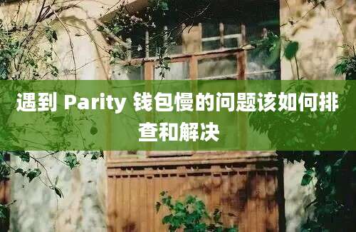 遇到 Parity 钱包慢的问题该如何排查和解决