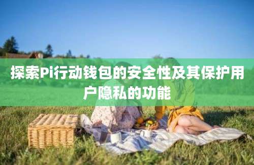 探索Pi行动钱包的安全性及其保护用户隐私的功能