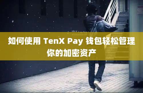 如何使用 TenX Pay 钱包轻松管理你的加密资产